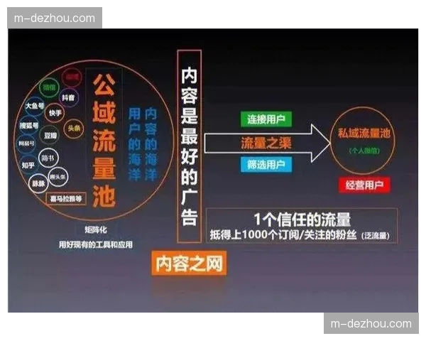私域流量直播生态兴起 体育版权分发路径愈发多元化